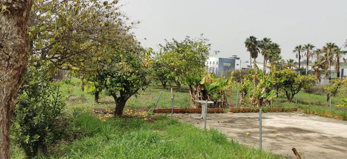 Terreno en venta en Marbella, Malaga photo 4