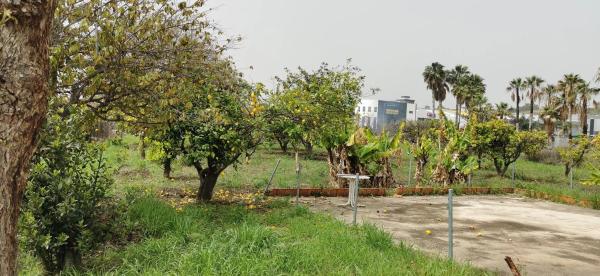 Terreno en carril de El Potril, 2 photo 4
