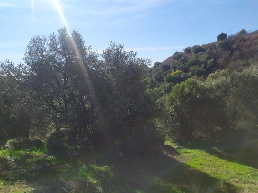 Land for sale in Ojén, Malaga photo 2