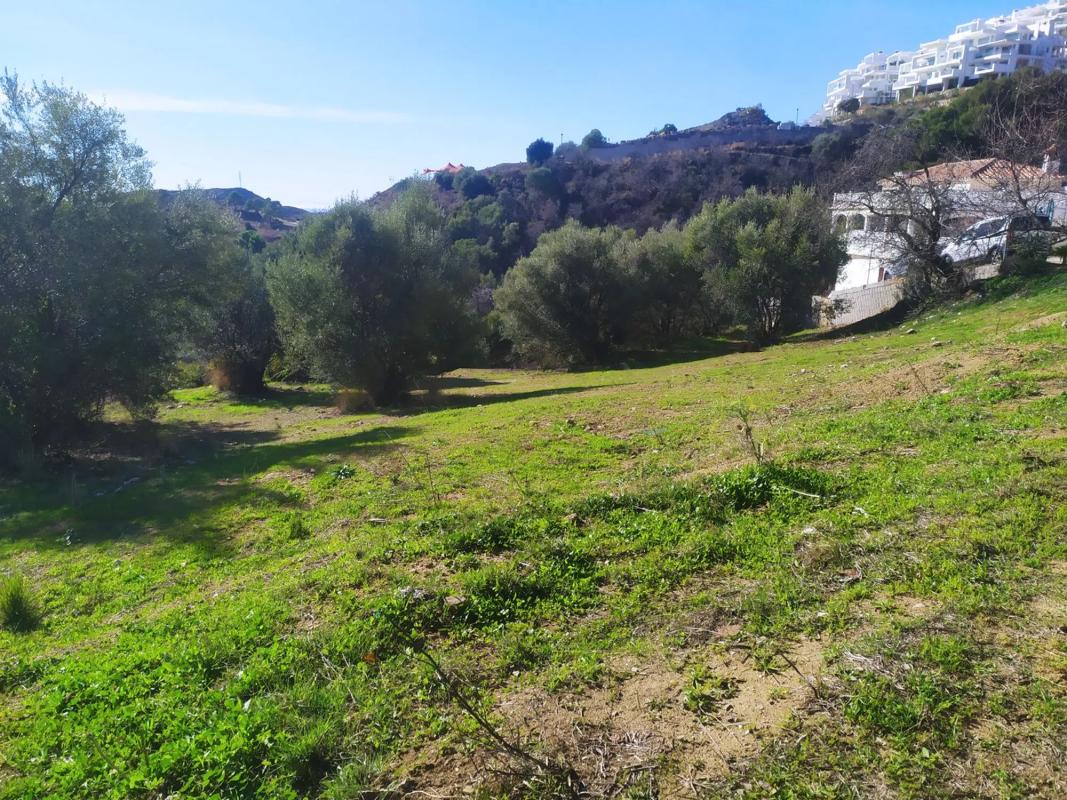 Land for sale in Ojén, Malaga photo 3