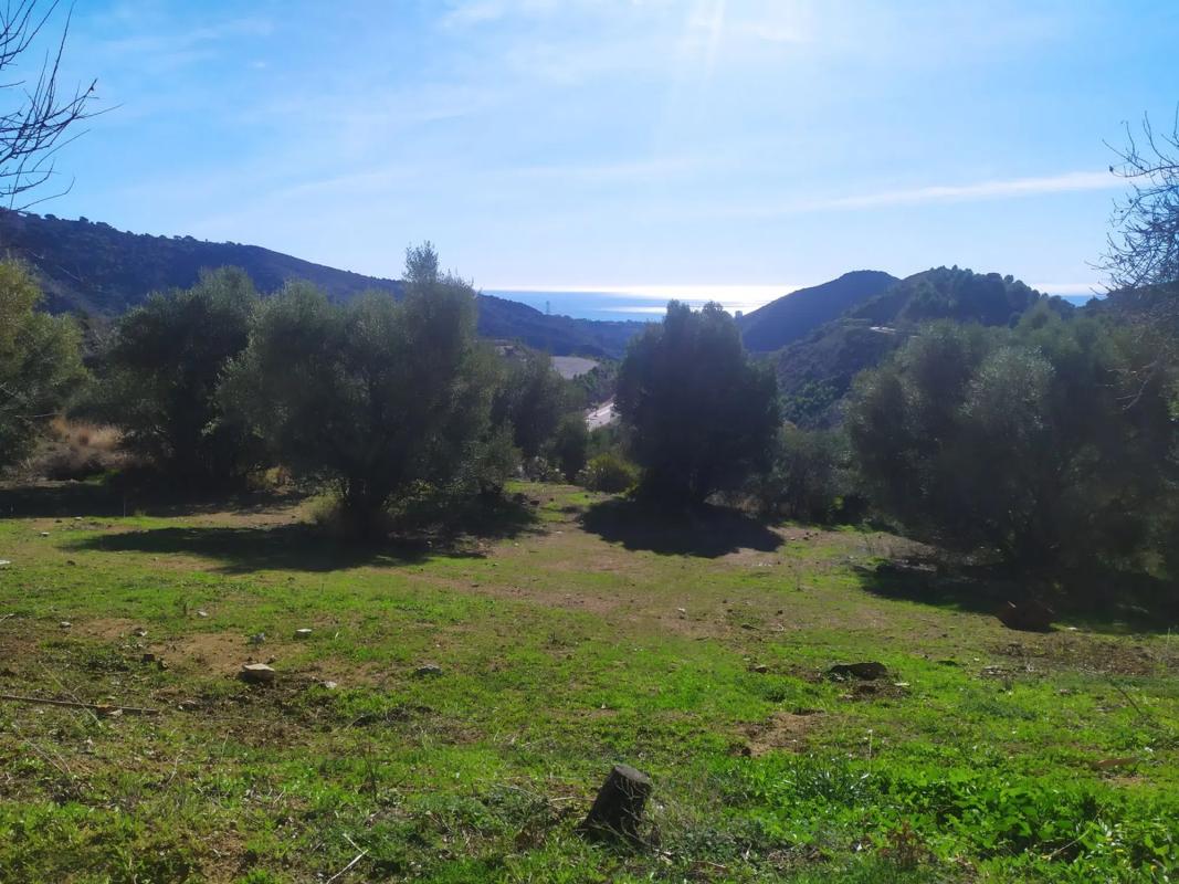 Land for sale in Ojén, Malaga photo 4