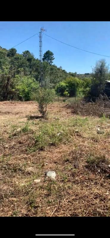 Land for sale in Ojén, Malaga photo 1