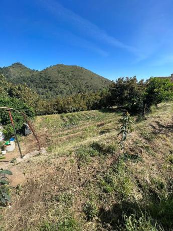 Terreno en Ojen s/n photo 3