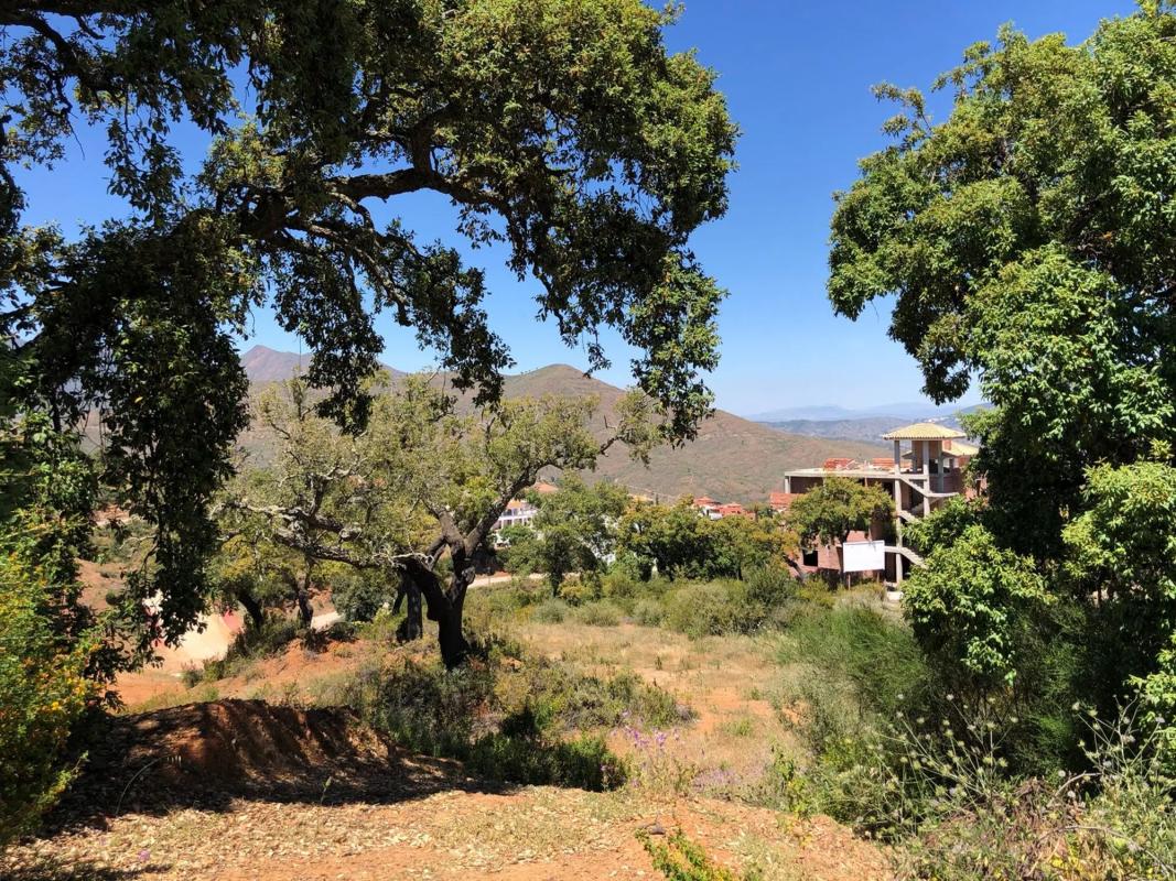 Terreno en venta en Ojén, Malaga photo 4