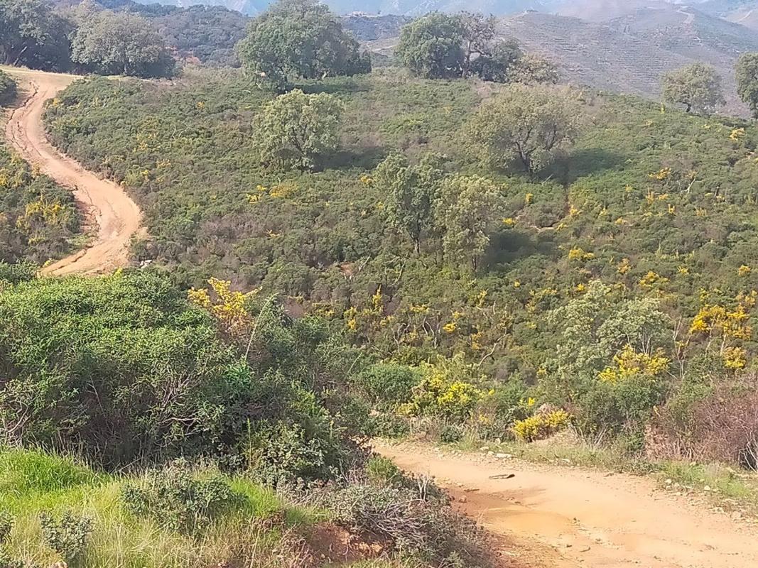 Terreno en venta en Ojén, Malaga photo 1