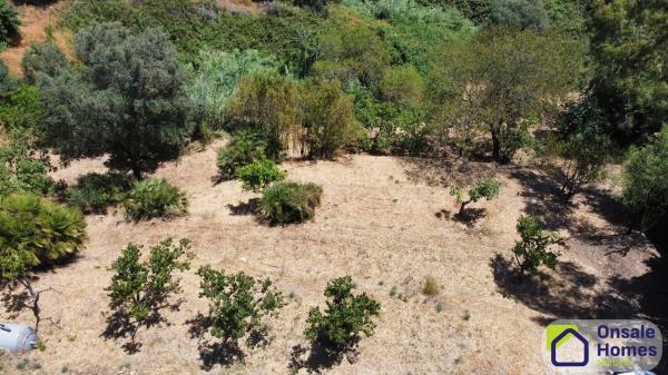 Terreno en cortijo holgado s/n photo 1