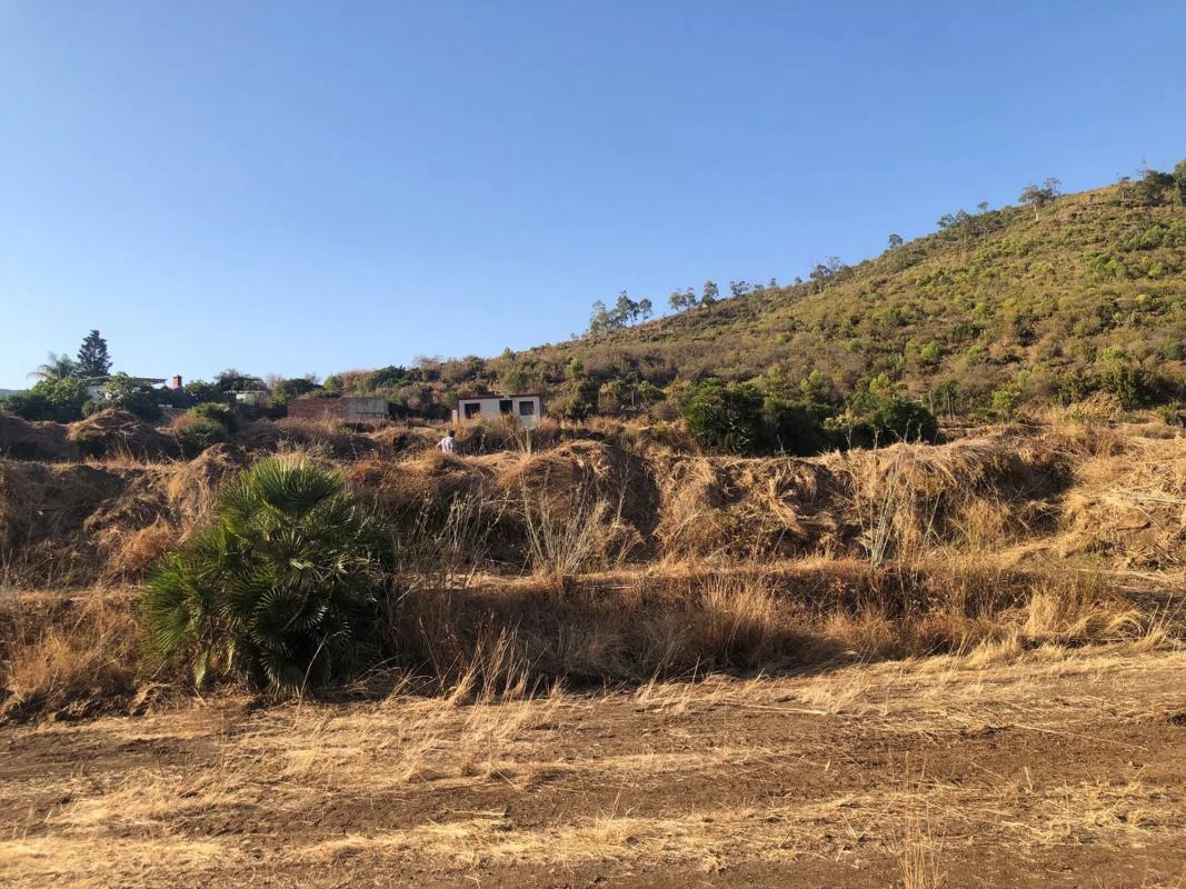 Terreno en venta en Ojén, Malaga photo 2