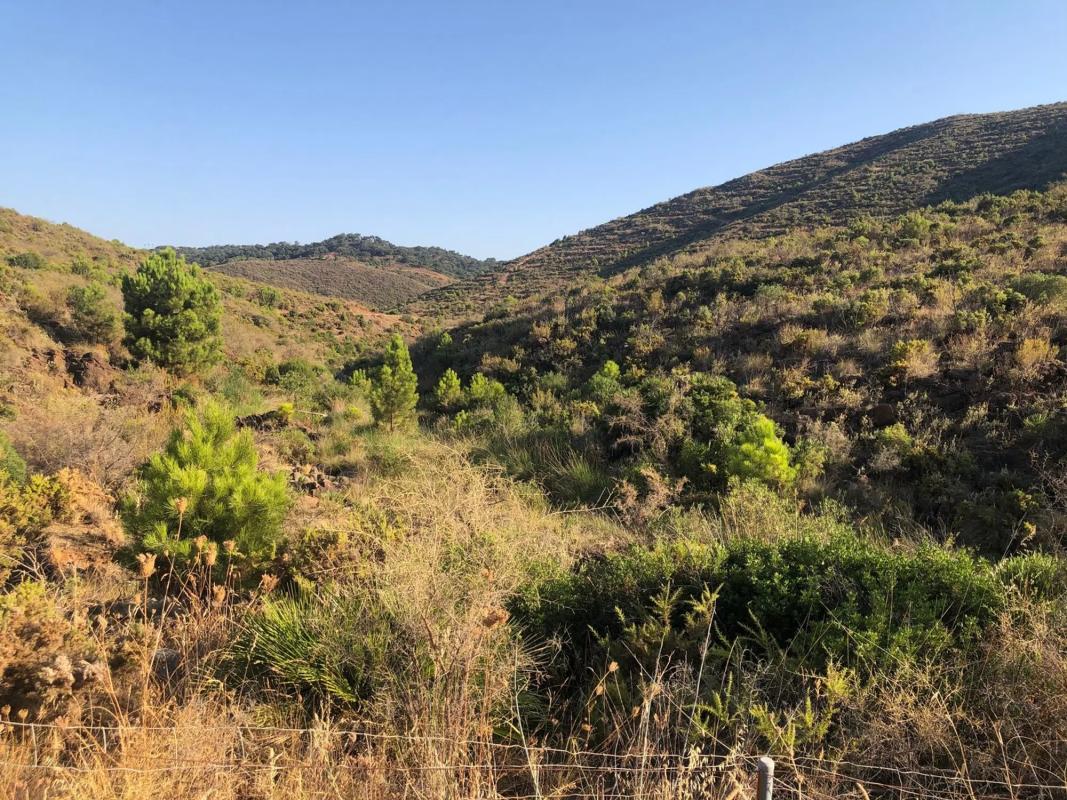 Terreno en venta en Ojén, Malaga photo 4
