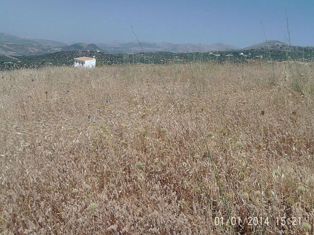 Участок земли на продажу в Алкаусин, Малага photo 1