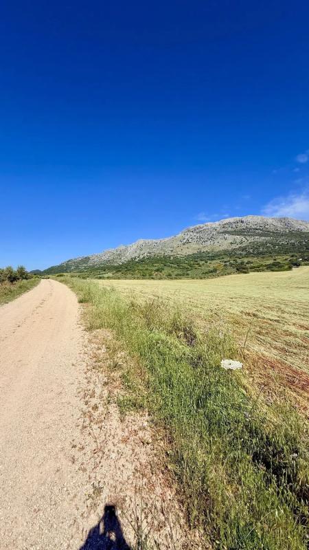 Land for sale in Alfarnatejo, Malaga photo 2