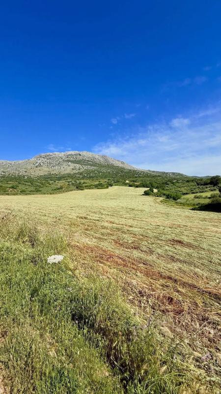 Land for sale in Alfarnatejo, Malaga photo 4