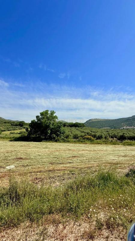 Land for sale in Alfarnatejo, Malaga photo 5