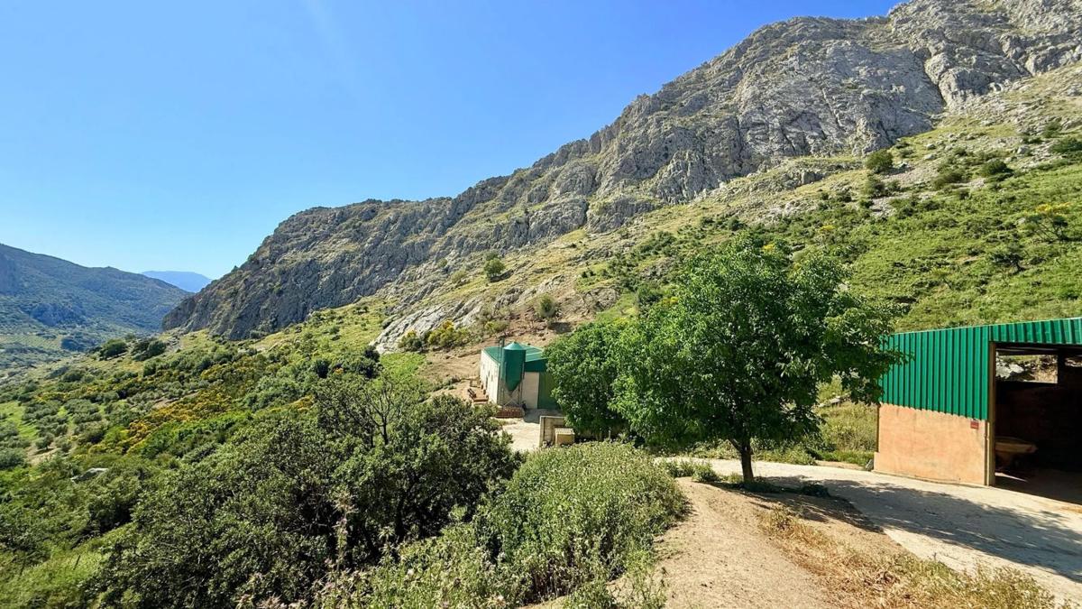Terreno en venta en Alfarnatejo, Malaga photo 2
