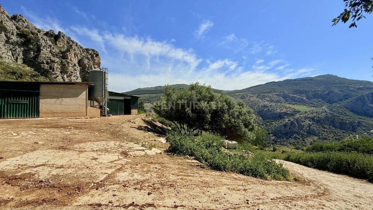 Terreno en venta en Alfarnatejo, Malaga photo 3