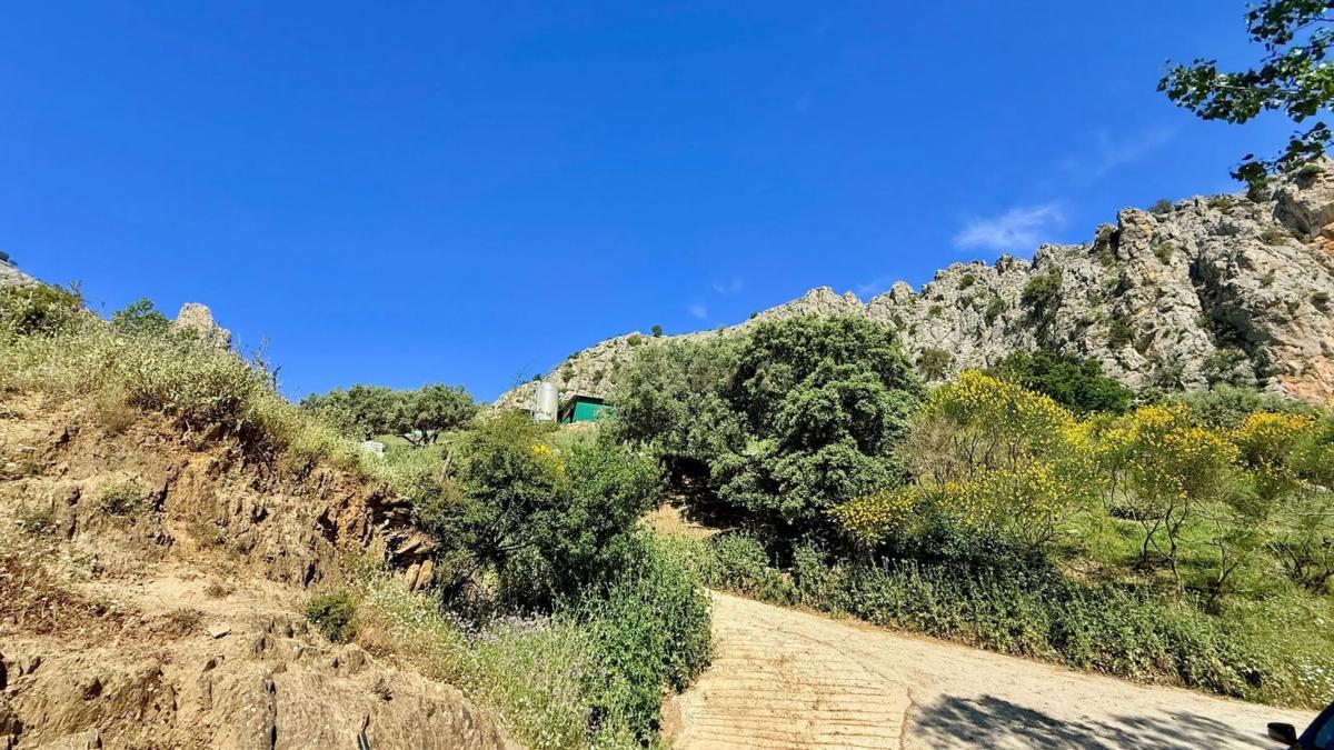 Terreno en venta en Alfarnatejo, Malaga photo 4