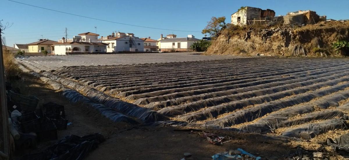 Terreno en venta en Algarrobo, Malaga photo 2