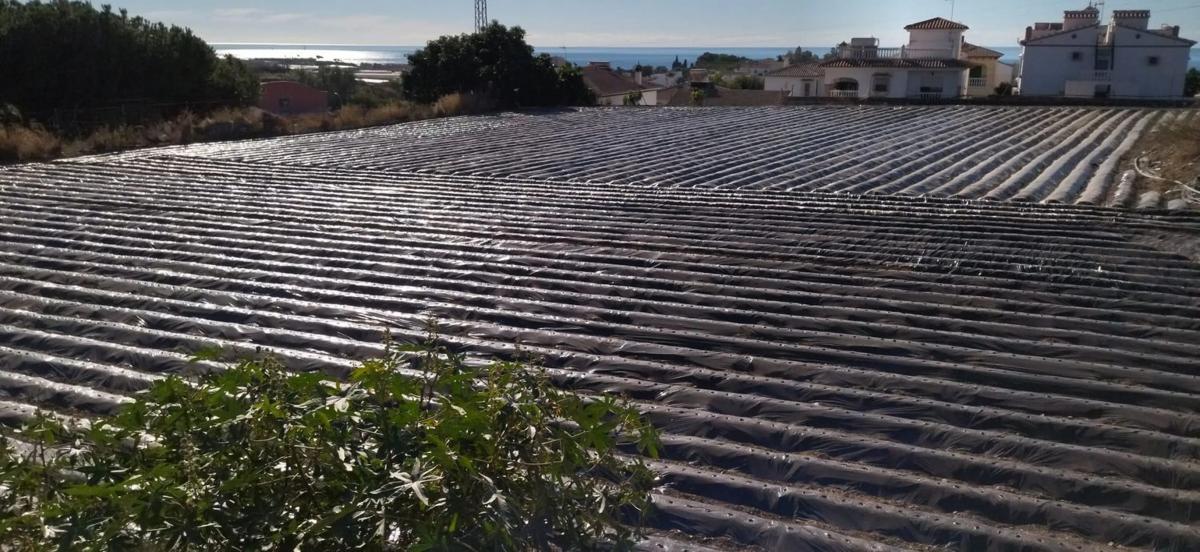 Terreno en venta en Algarrobo, Malaga photo 3