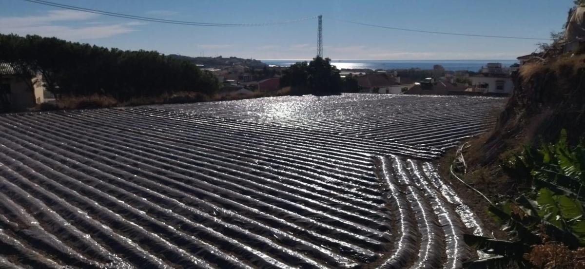 Terreno en venta en Algarrobo, Malaga photo 5