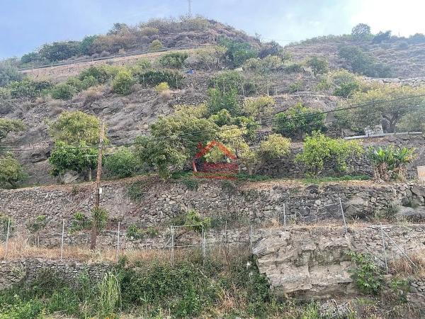 Terreno en Algarrobo photo 4