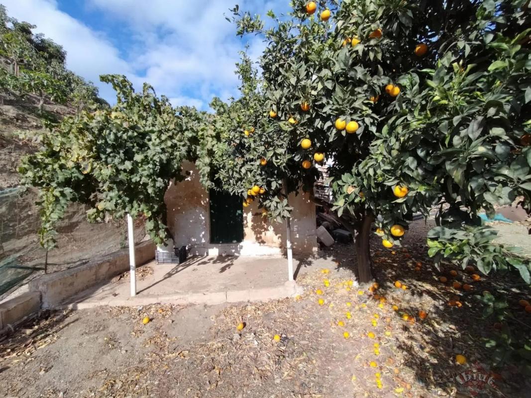 Terreno en venta en Algarrobo, Malaga photo 1