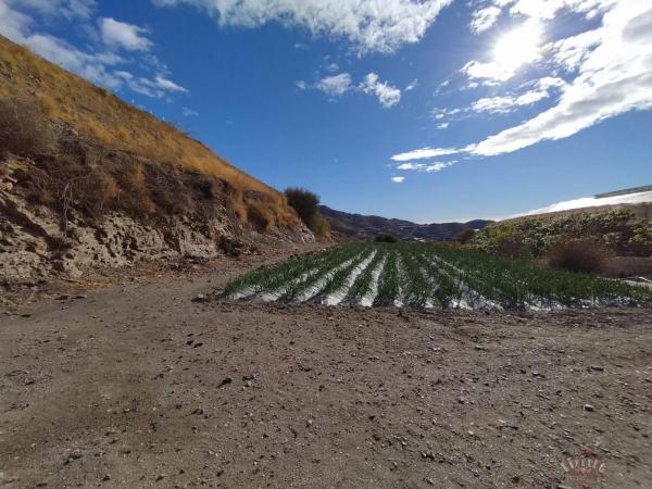 Terreno en Algarrobo photo 2