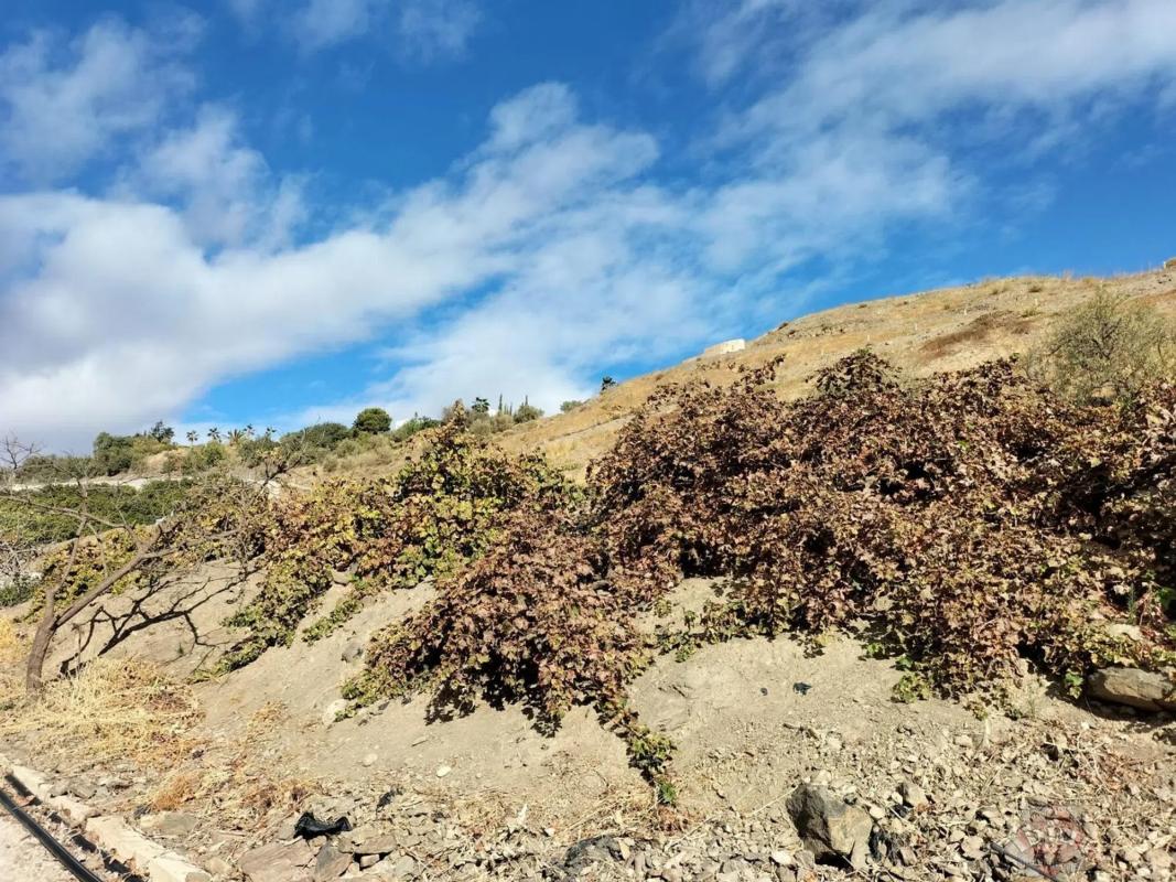 Terreno en venta en Algarrobo, Malaga photo 3