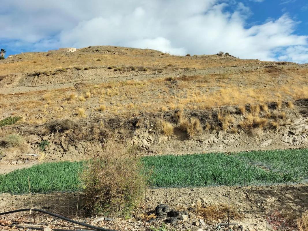 Terreno en venta en Algarrobo, Malaga photo 4