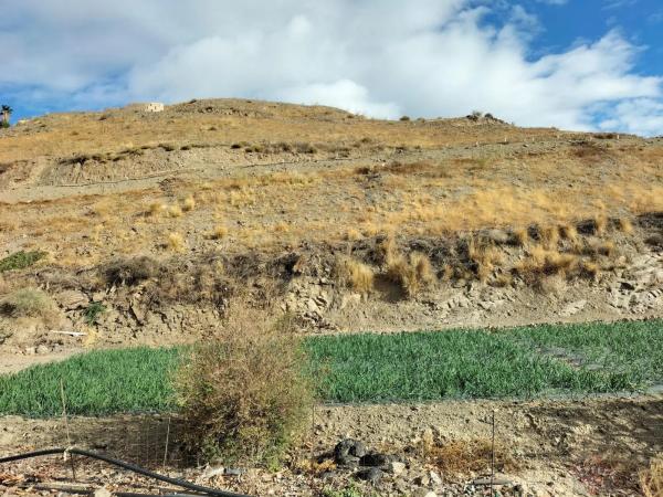 Terreno en Algarrobo photo 4