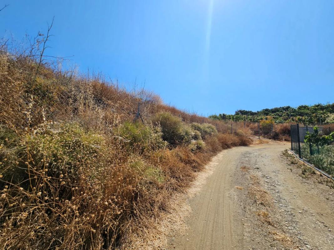 Terreno en venta en Algarrobo, Malaga photo 5