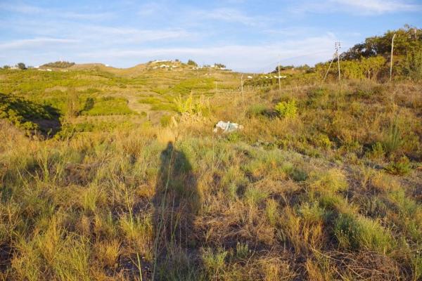 Terreno en Algarrobo photo 2