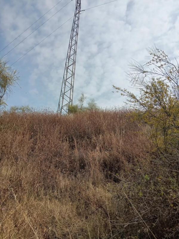 Участок земли на продажу в Алгарробо, Малага photo 3