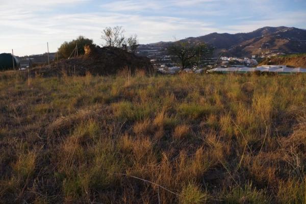Terreno en Algarrobo photo 3