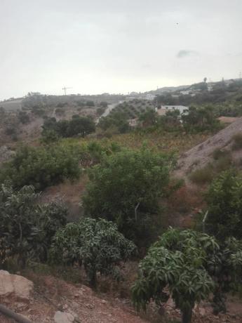 Terreno en carretera almayate s/n photo 1