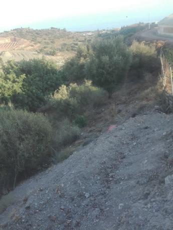 Terreno en carretera almayate s/n thumbnail 2