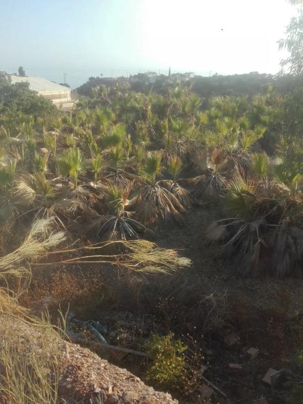 Terreno en venta en Almayate Bajo, Malaga photo 5