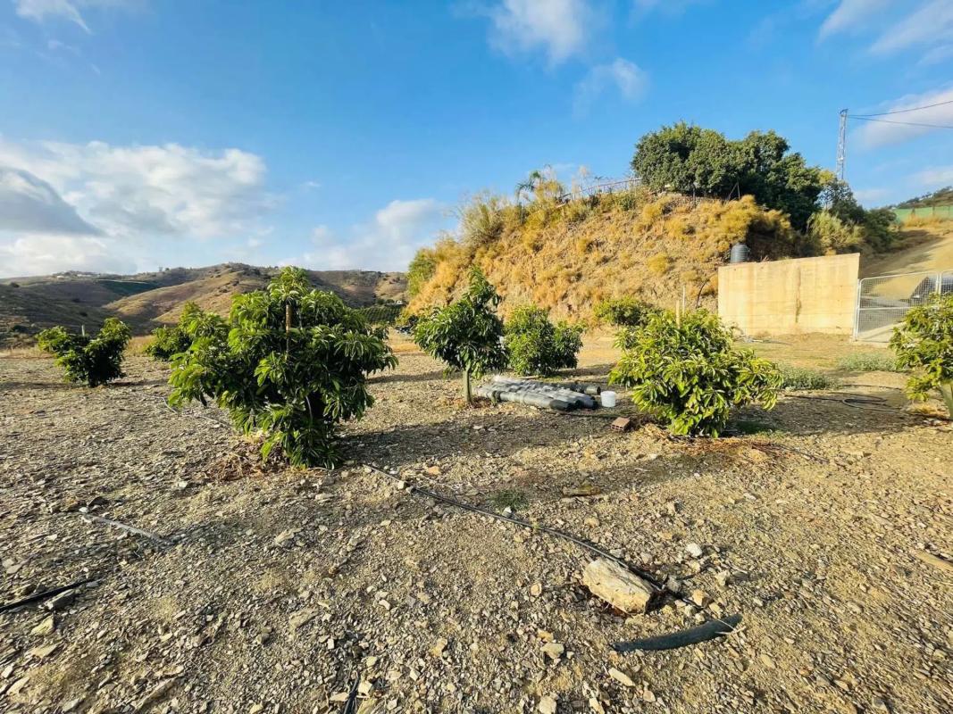 Terreno en venta en Almayate Bajo, Malaga photo 3