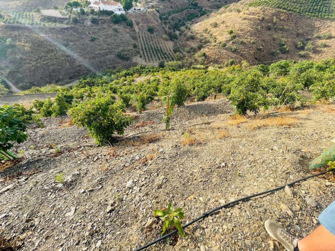Terreno en venta en Almayate Bajo, Malaga photo 4
