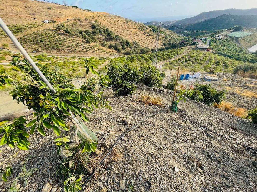 Terreno en venta en Almayate Bajo, Malaga photo 5