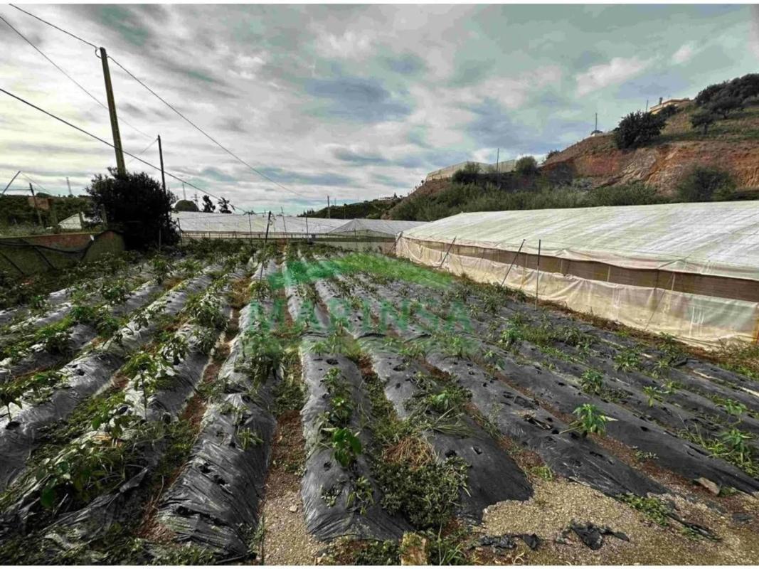 Terreno en venta en Almayate Bajo, Malaga photo 3