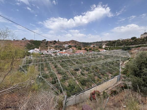 Terreno en Cortijo los Mananas, 5 photo 1