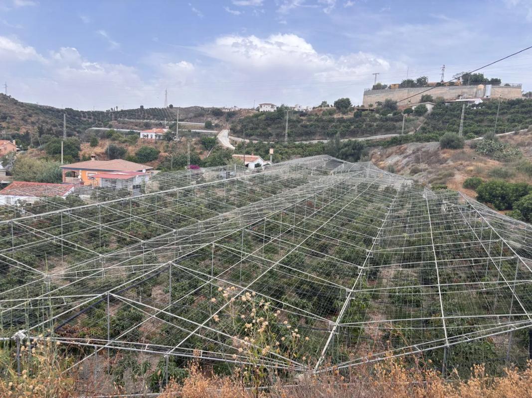 Terreno en venta en Almayate Bajo, Malaga photo 5