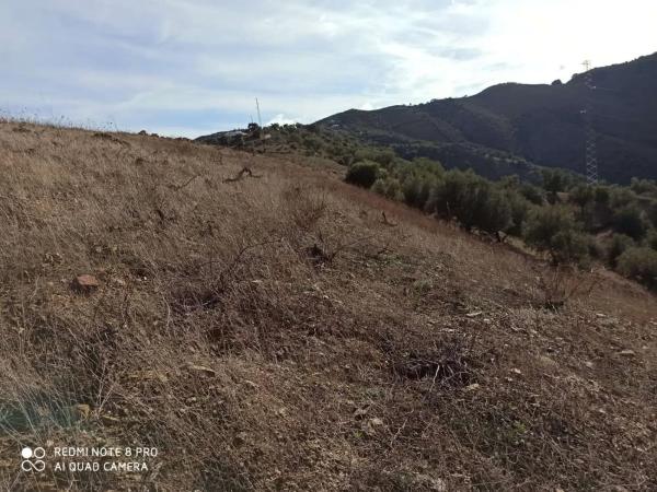 Terreno en Almáchar photo 1
