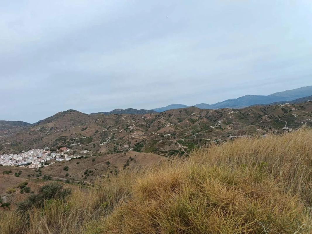 Terreno en venta en Almáchar, Malaga photo 2