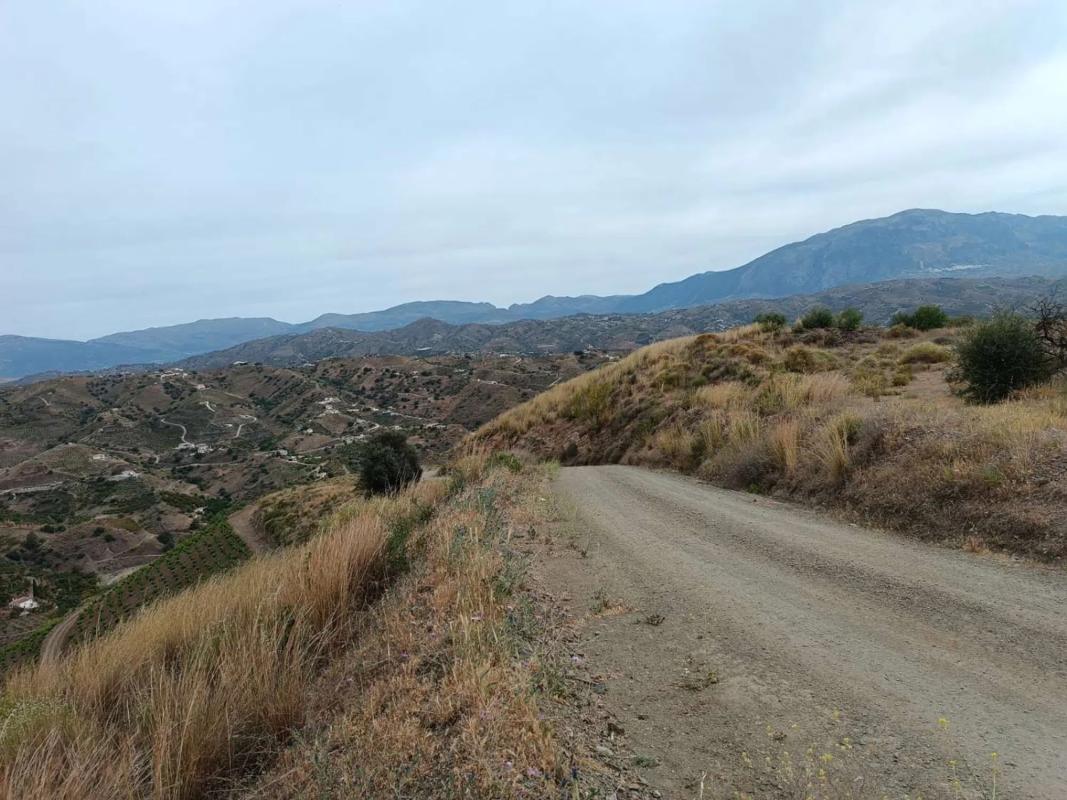 Terreno en venta en Almáchar, Malaga photo 3