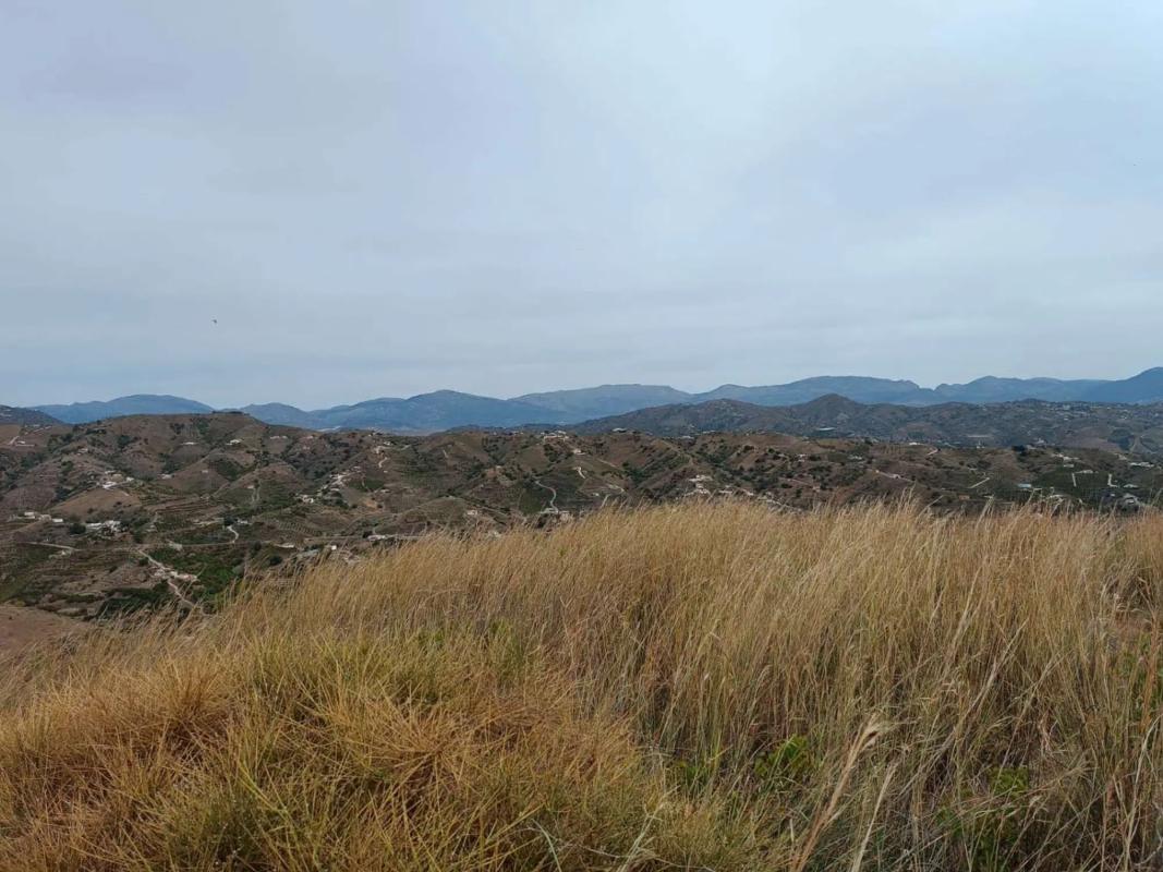 Terreno en venta en Almáchar, Malaga photo 5