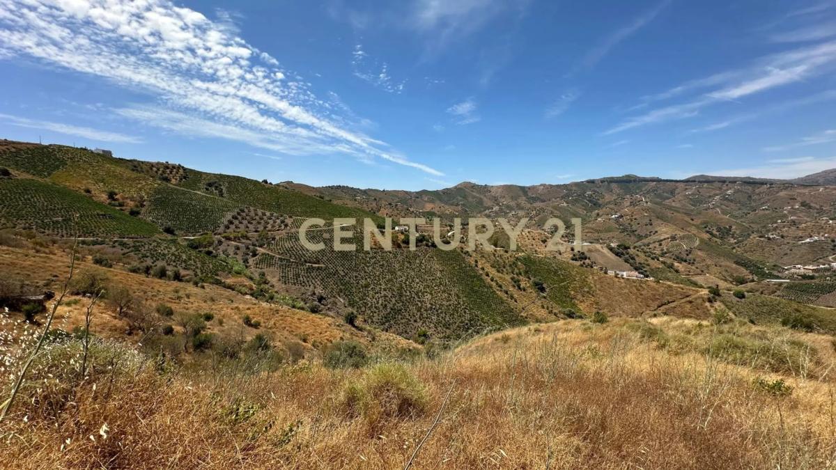 Terreno en venta en Almáchar, Malaga photo 3