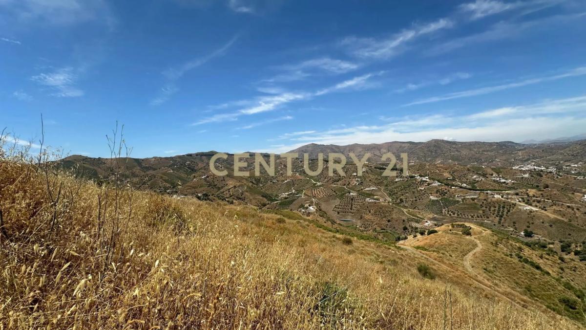Terreno en venta en Almáchar, Malaga photo 5