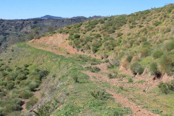 Terreno en Arenas photo 4