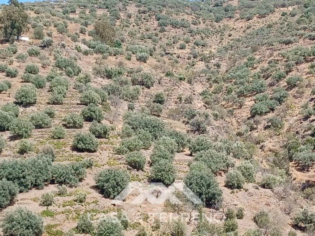 Terreno en venta en Arenas, Malaga photo 4