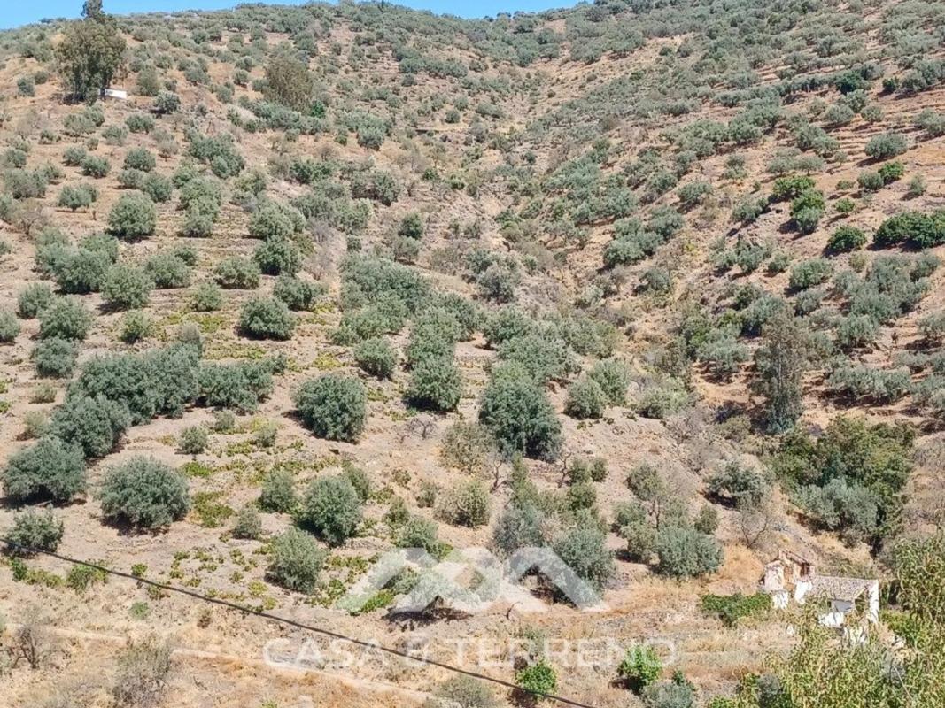 Terreno en venta en Arenas, Malaga photo 5